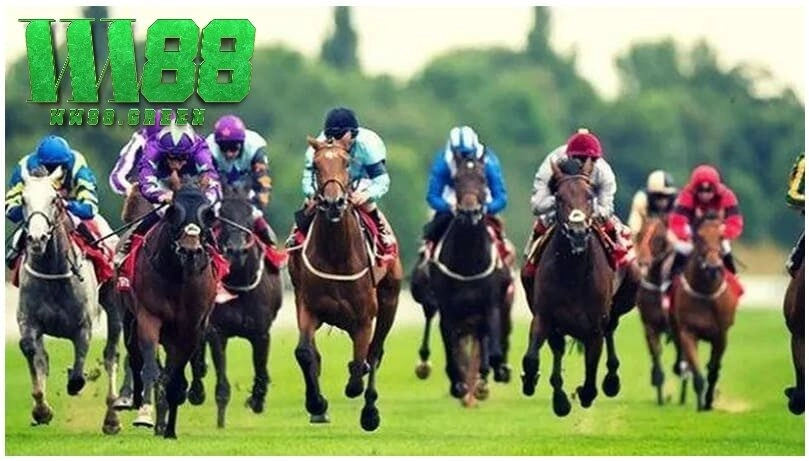 Cách cá cược đua ngựa hiệu quả