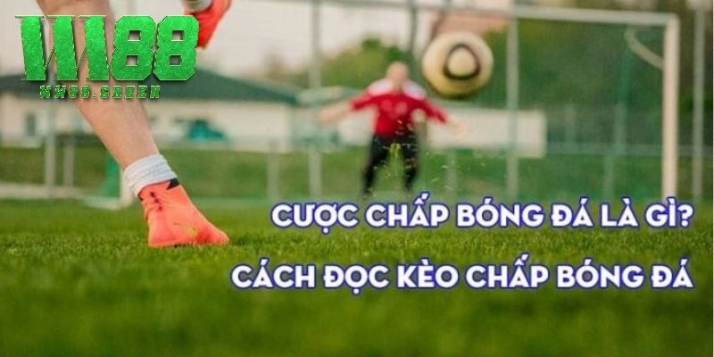 Cược chấp là gì?